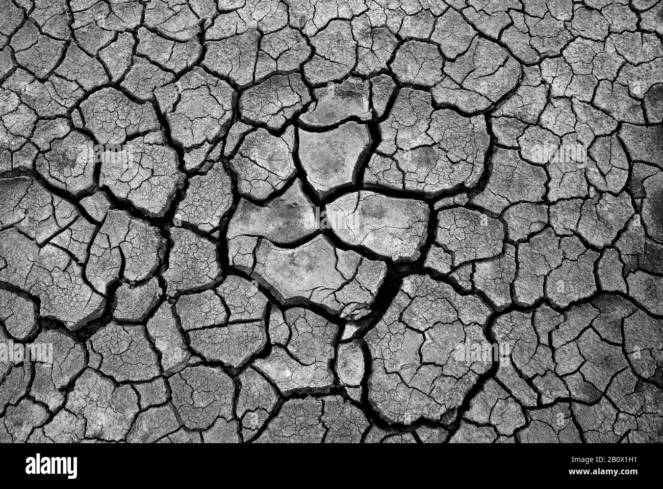 Close up of dry soil, dry cracks, Stock Photo