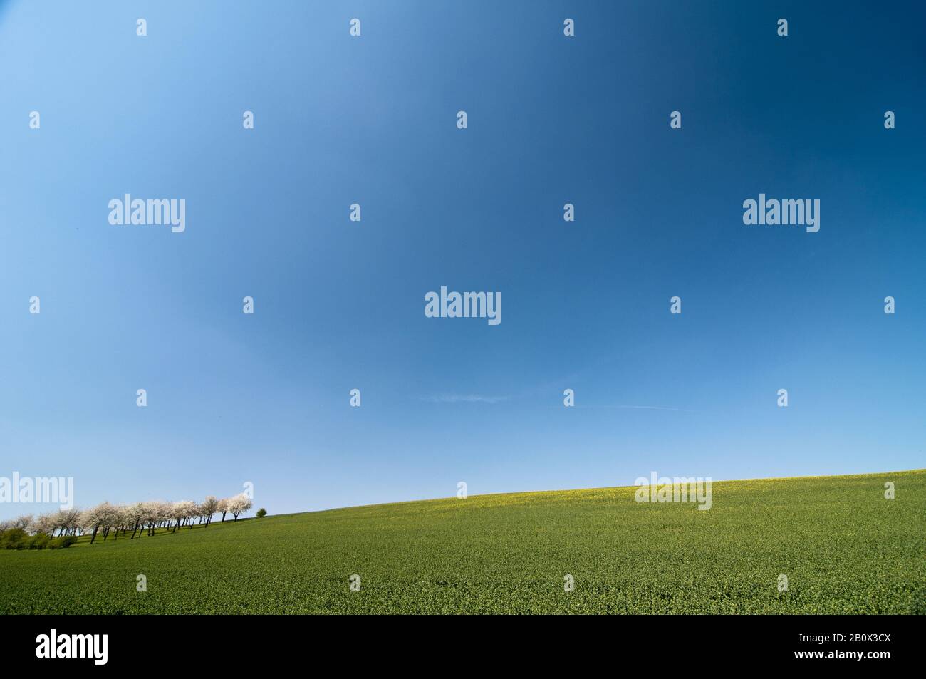 Spring one many in hi res stock photography and images Alamy Spring one many in hi res stock photography and images Alamy