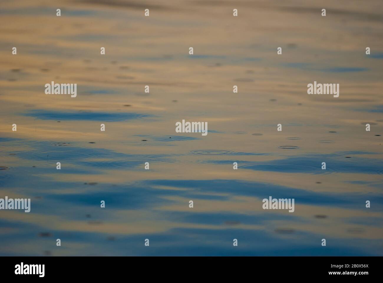 Raindrops on a water surface, Stock Photo