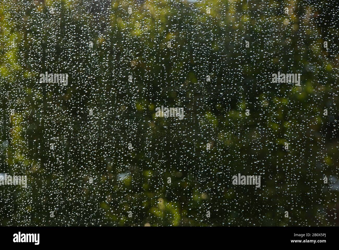 Regentropfen an der Fensterscheibe Stock Photo