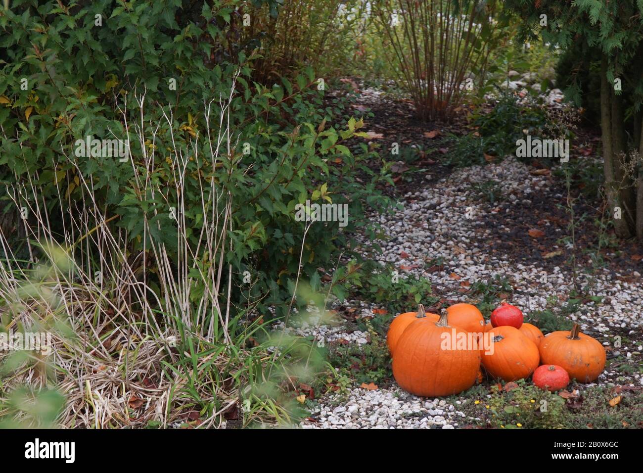 Herbstdeko mit Kürbissen im Garten Stock Photo