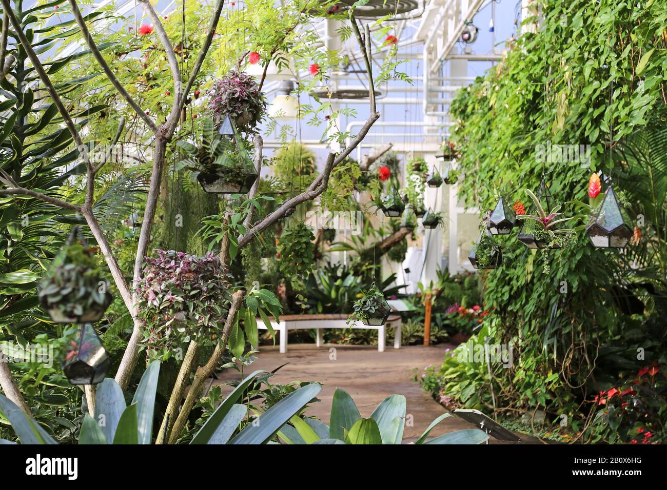 Terrariums, Giant Houseplant Takeover, Tropical Zone, Glasshouse, RHS
