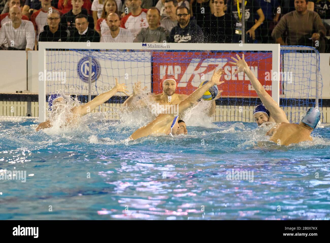Action pro recco waterpolo 1903 hi-res stock photography and images - Alamy