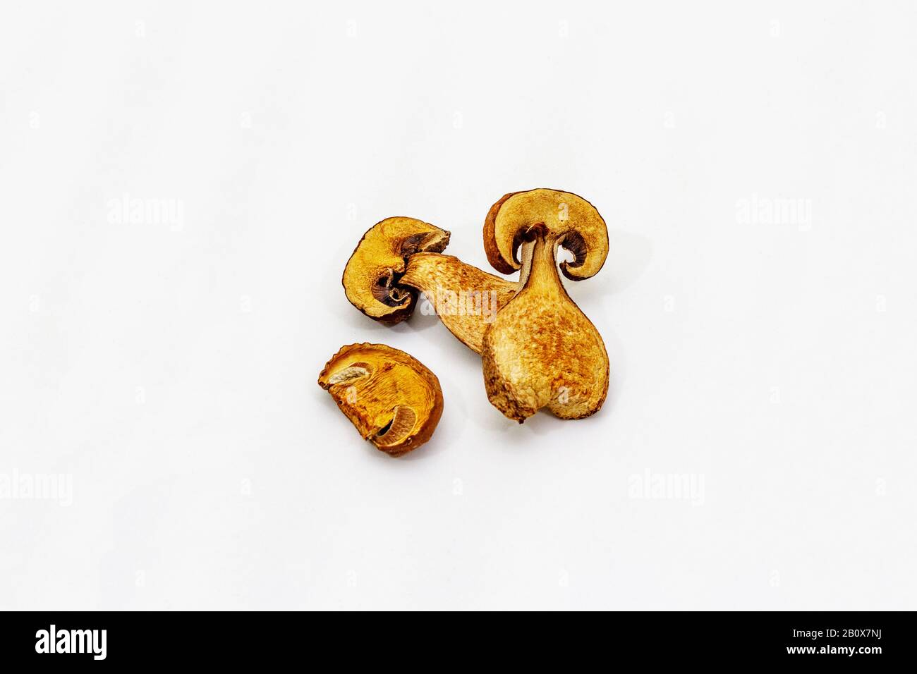 Dried porcini mushrooms isolated on white background. Traditional