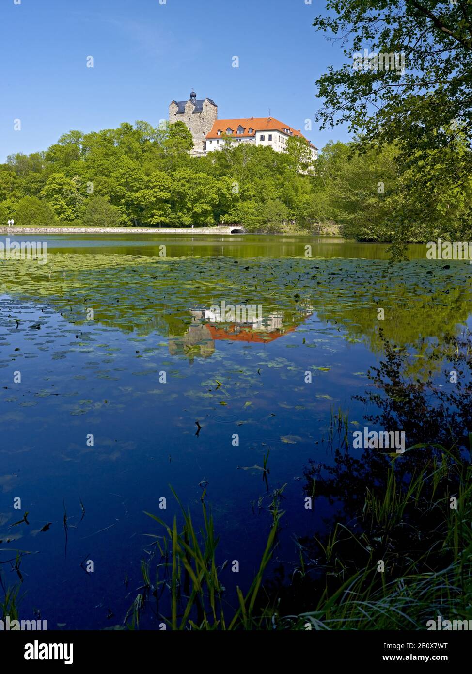 Castle pond with Ballenstedt Castle, Saxony-Anhalt, Germany, Stock Photo