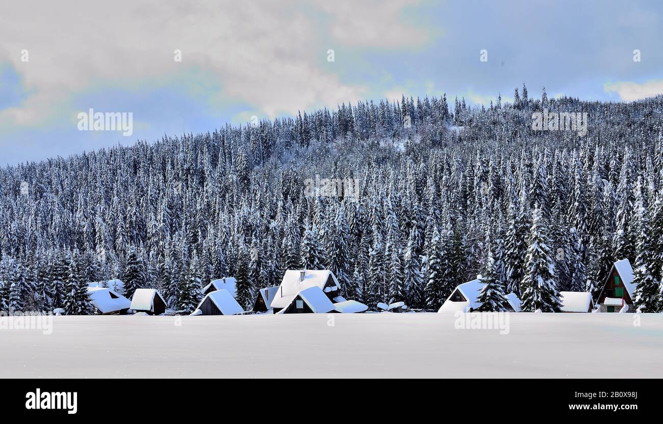 Hillside with Pine Forest and Wood Cottage covered with Snow during ...
