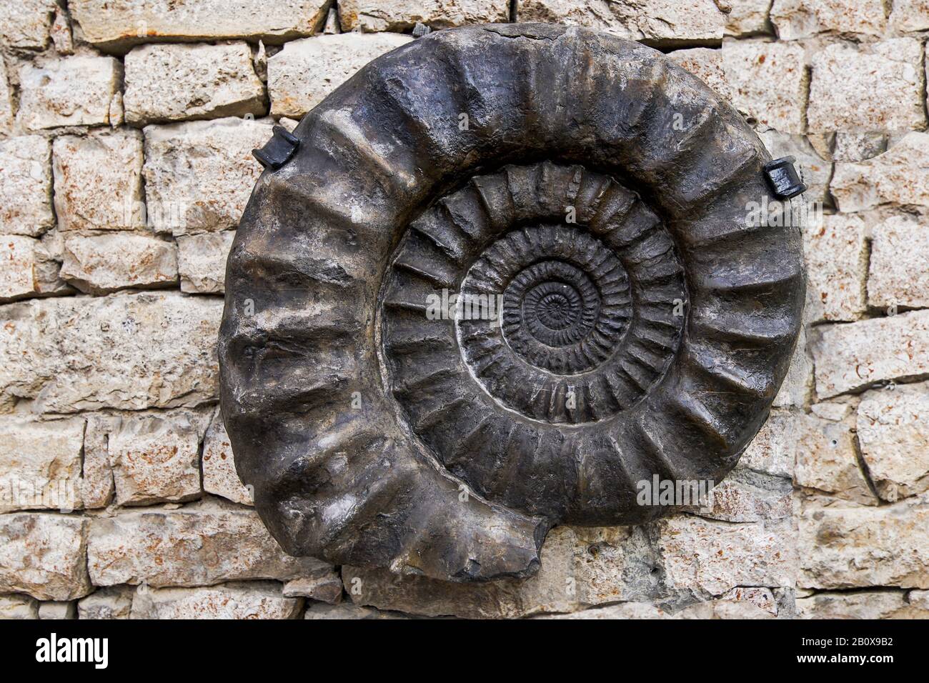 großer Ammonit auf Bruchsteinmauer Stock Photo