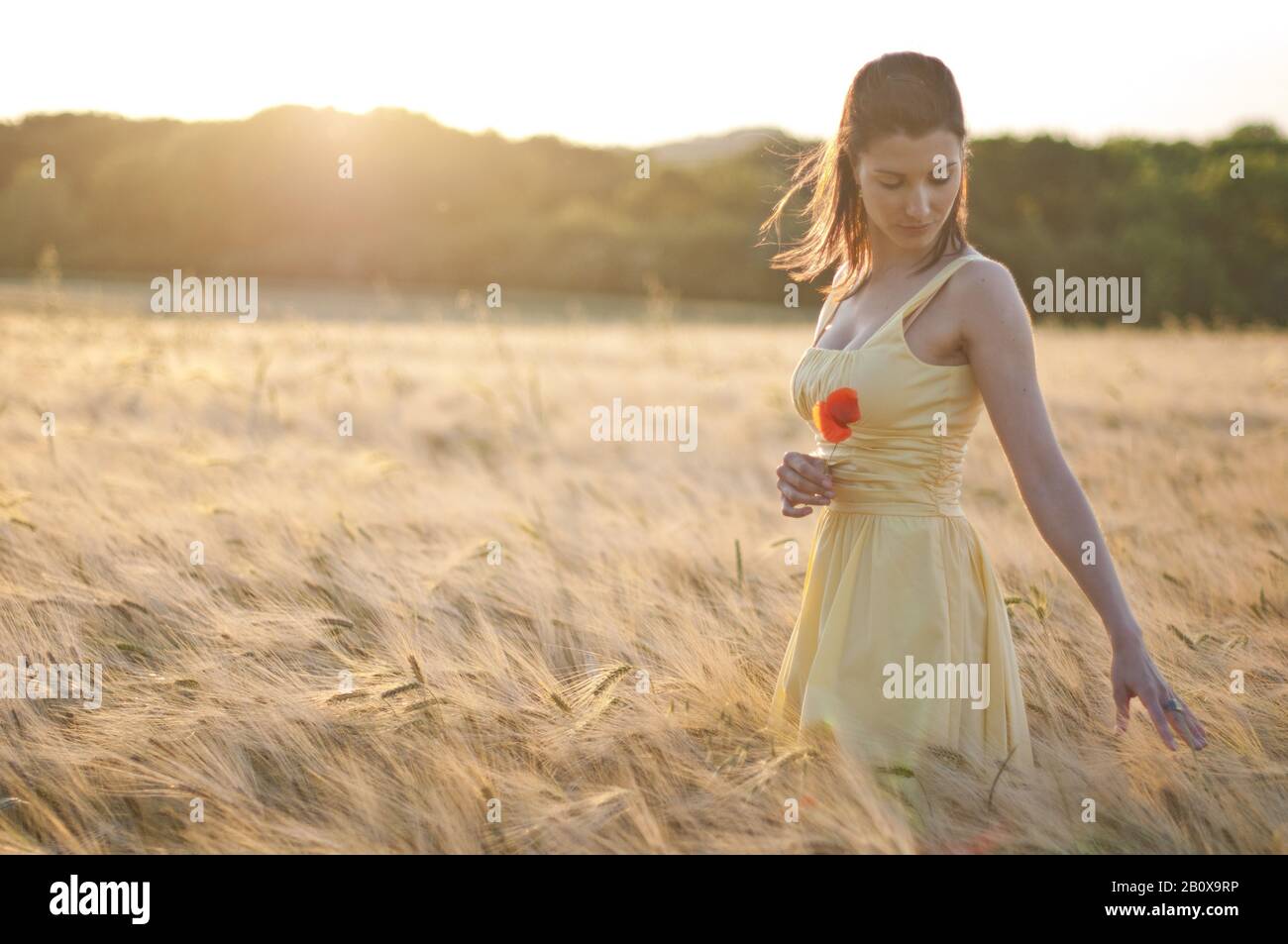 Young woman in a grain field at sunset Stock Photo - Alamy