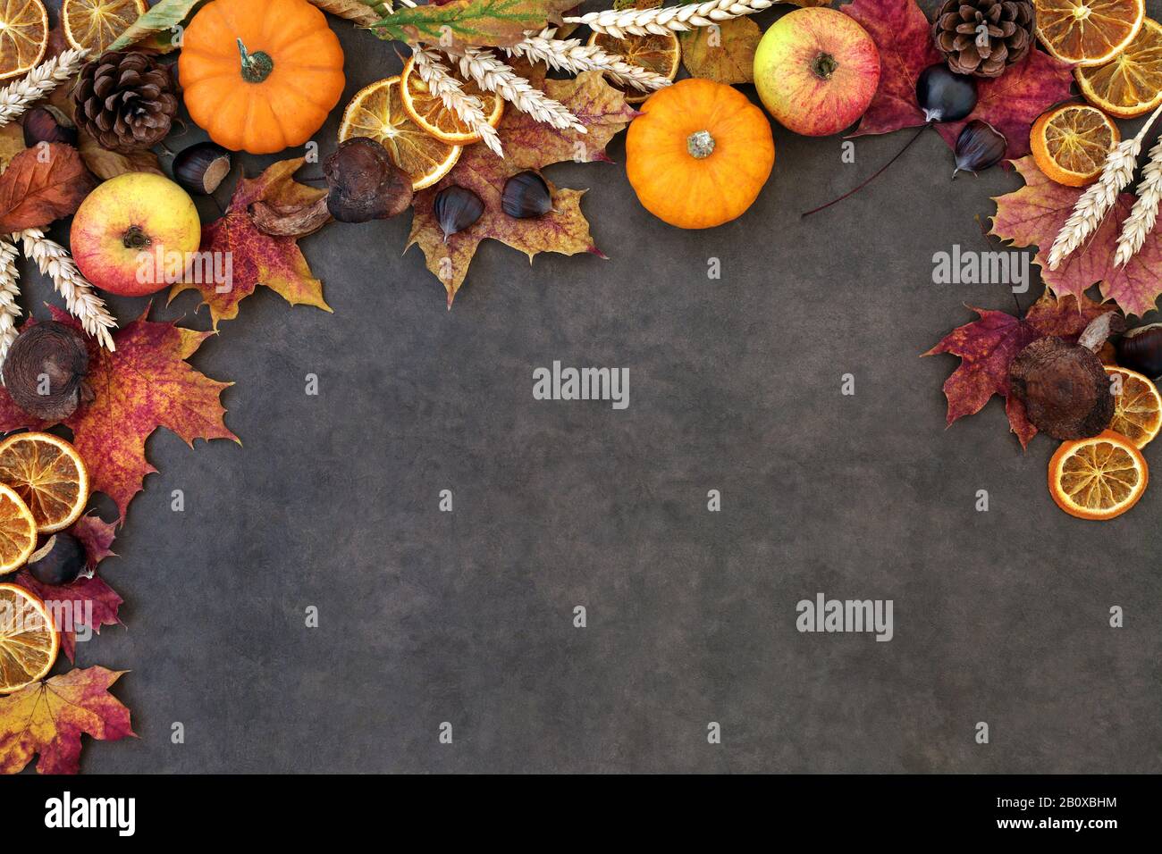 Autumn nature background border with food, flora and fauna on lokta paper background. Top view. Harvest festival theme. Stock Photo