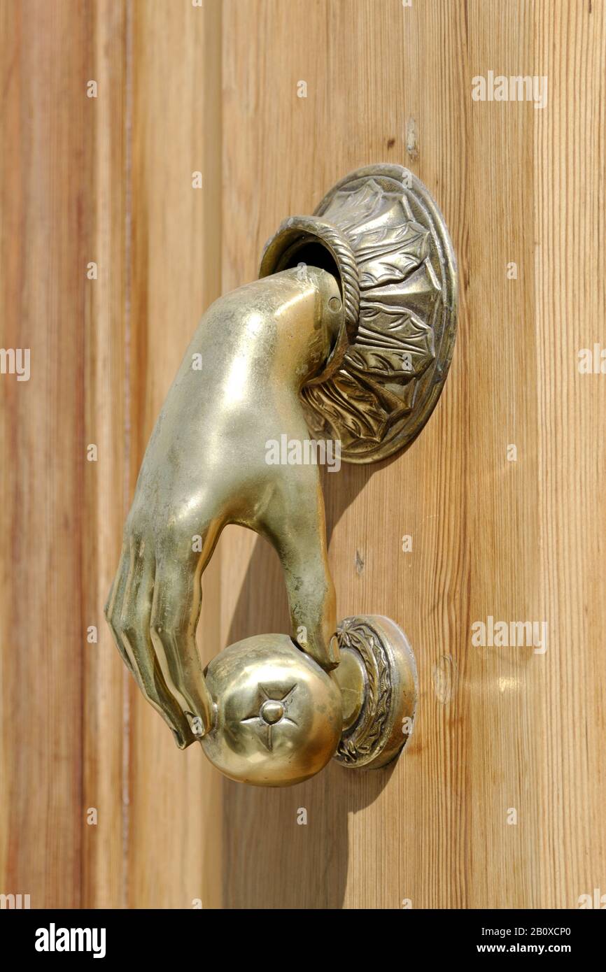 Michael Healy 4-1/4-in Polished Door Knocker MH1101 At