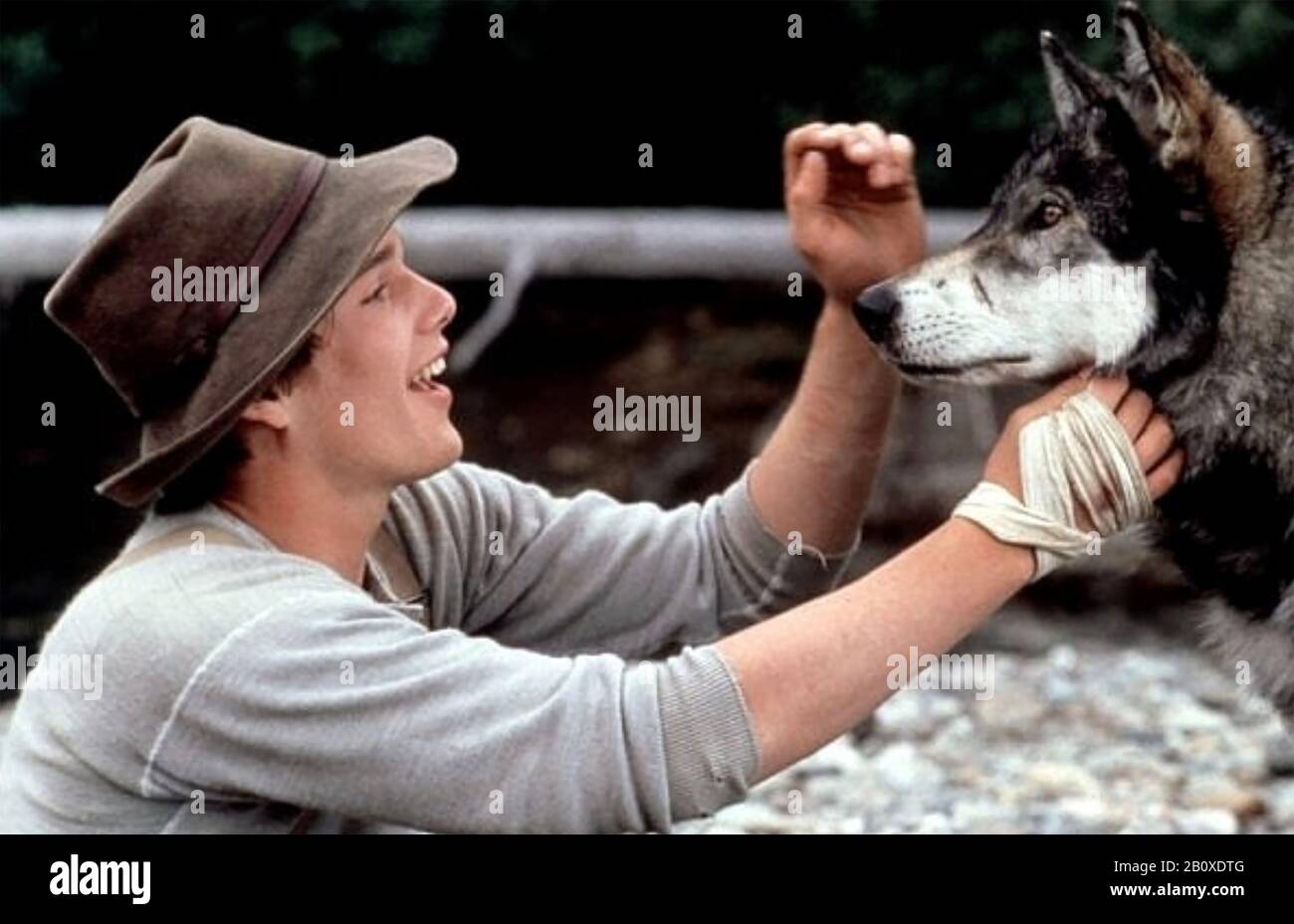 White fang movie hires stock photography and images Alamy