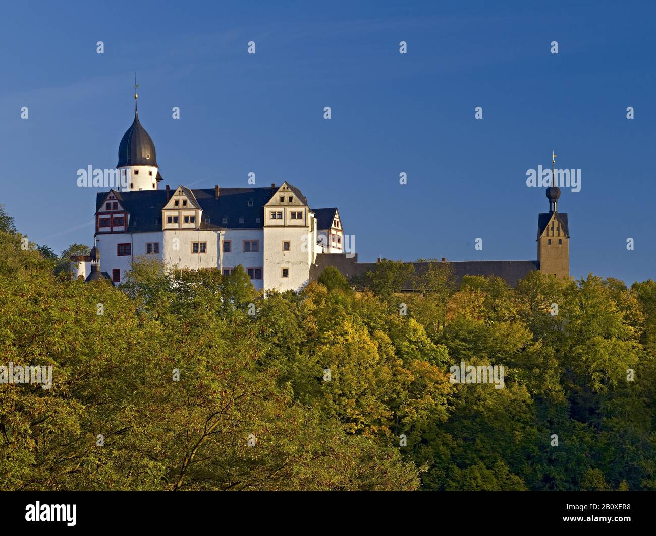 Rochsburg Castle, Rochsburg bei Lunzenau, Saxony, Germany, Stock Photo