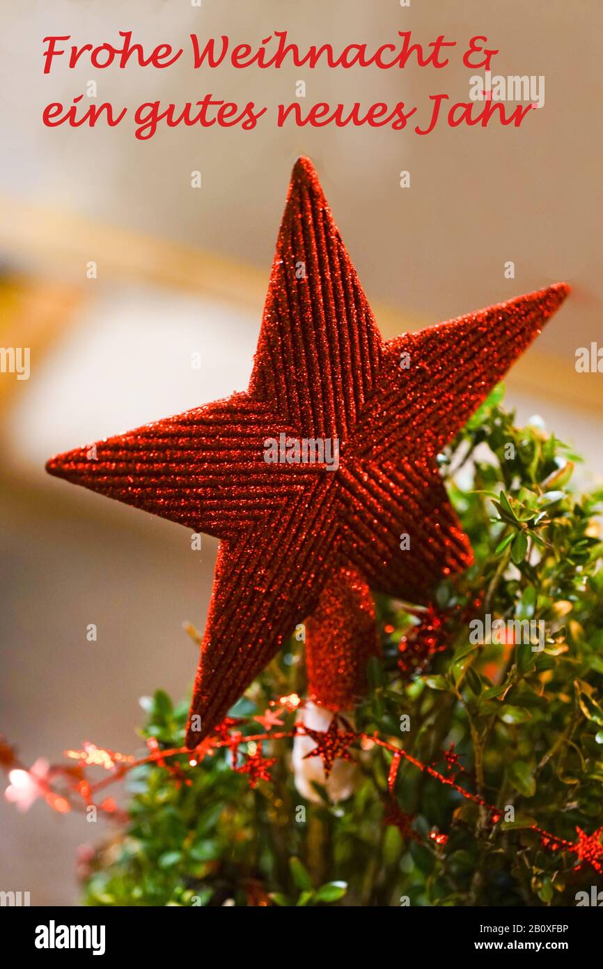 Stern mit Grün als Weihnachtsdeko Stock Photo