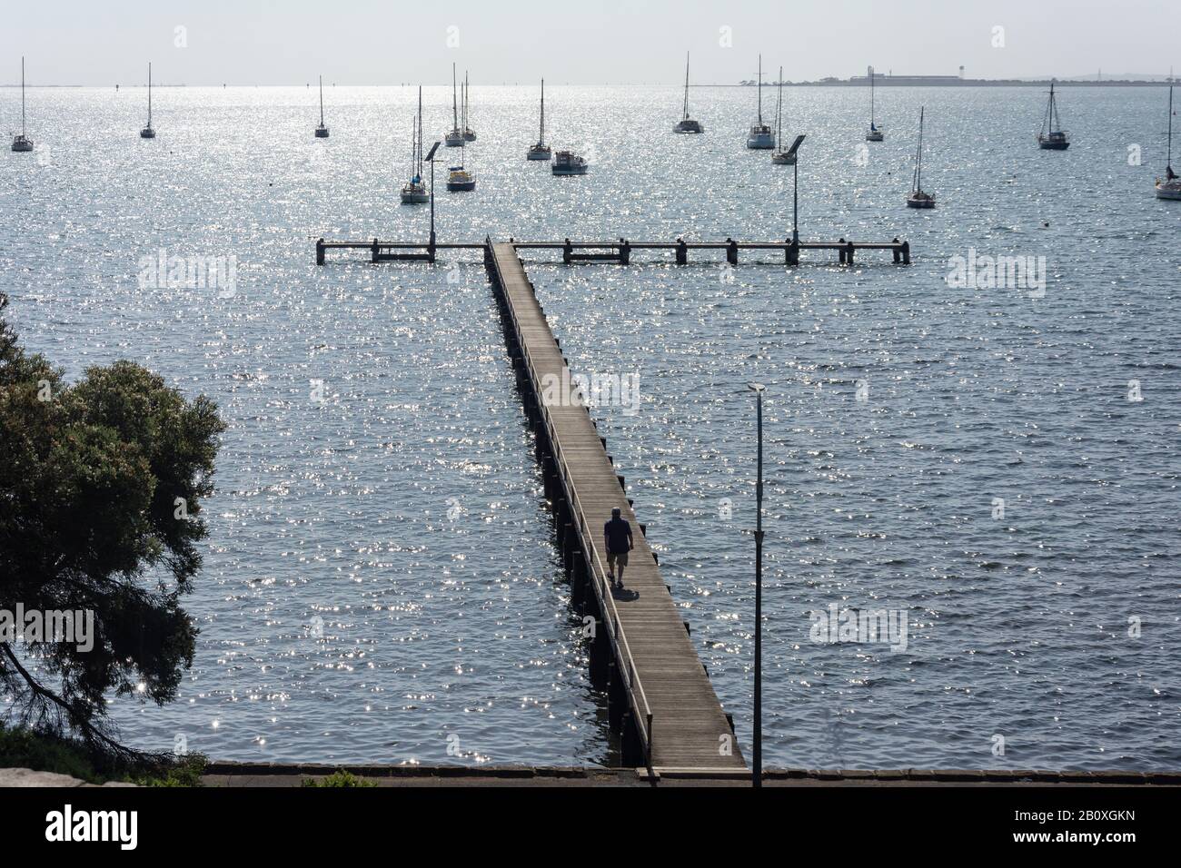 Wooden jetty on foreshore, Geelong, Grant County, Victoria, Australia Stock Photo