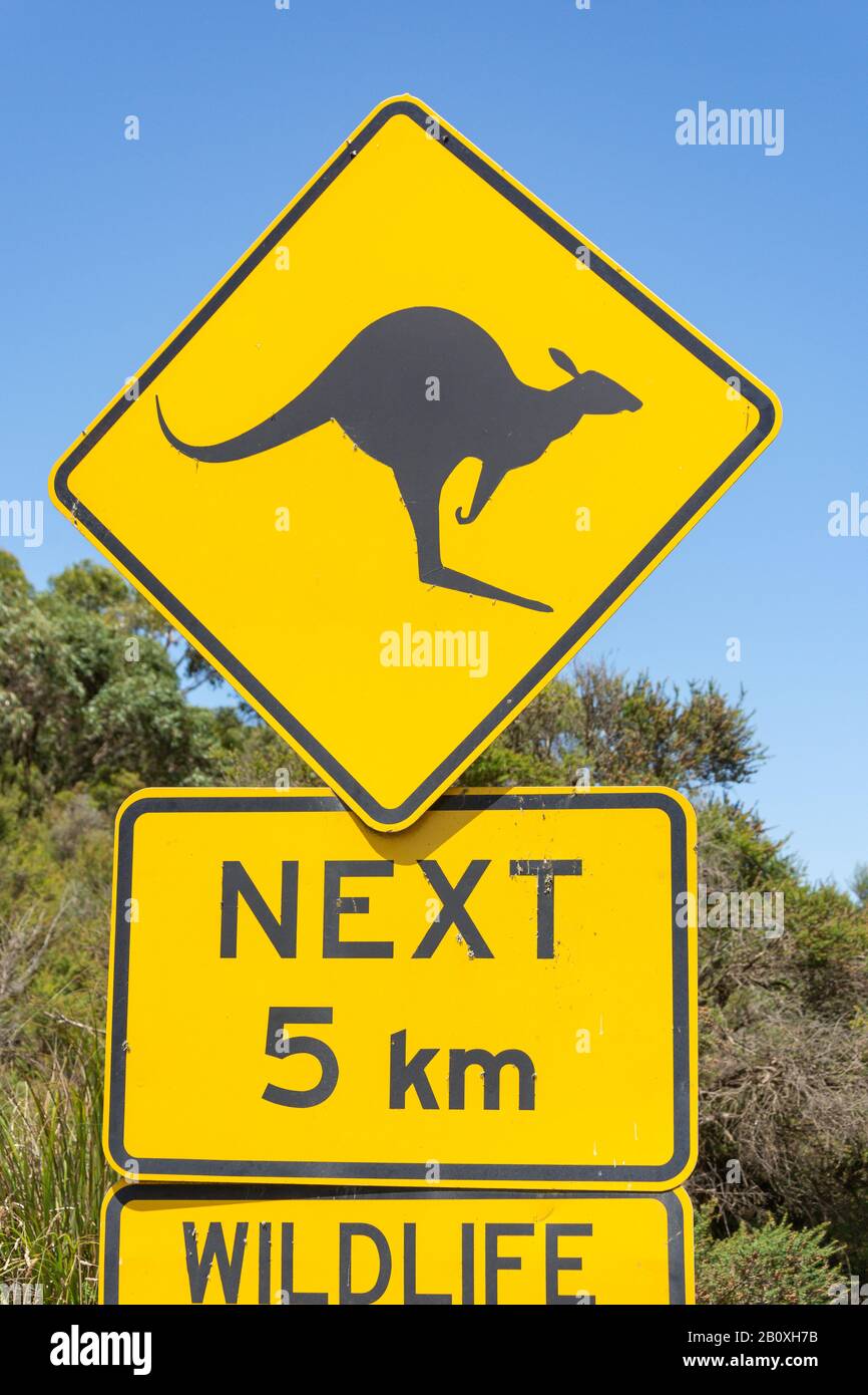 Kangaroo road sign in Great Otway National Park, Barwon South West Region, Victoria, Australia Stock Photo