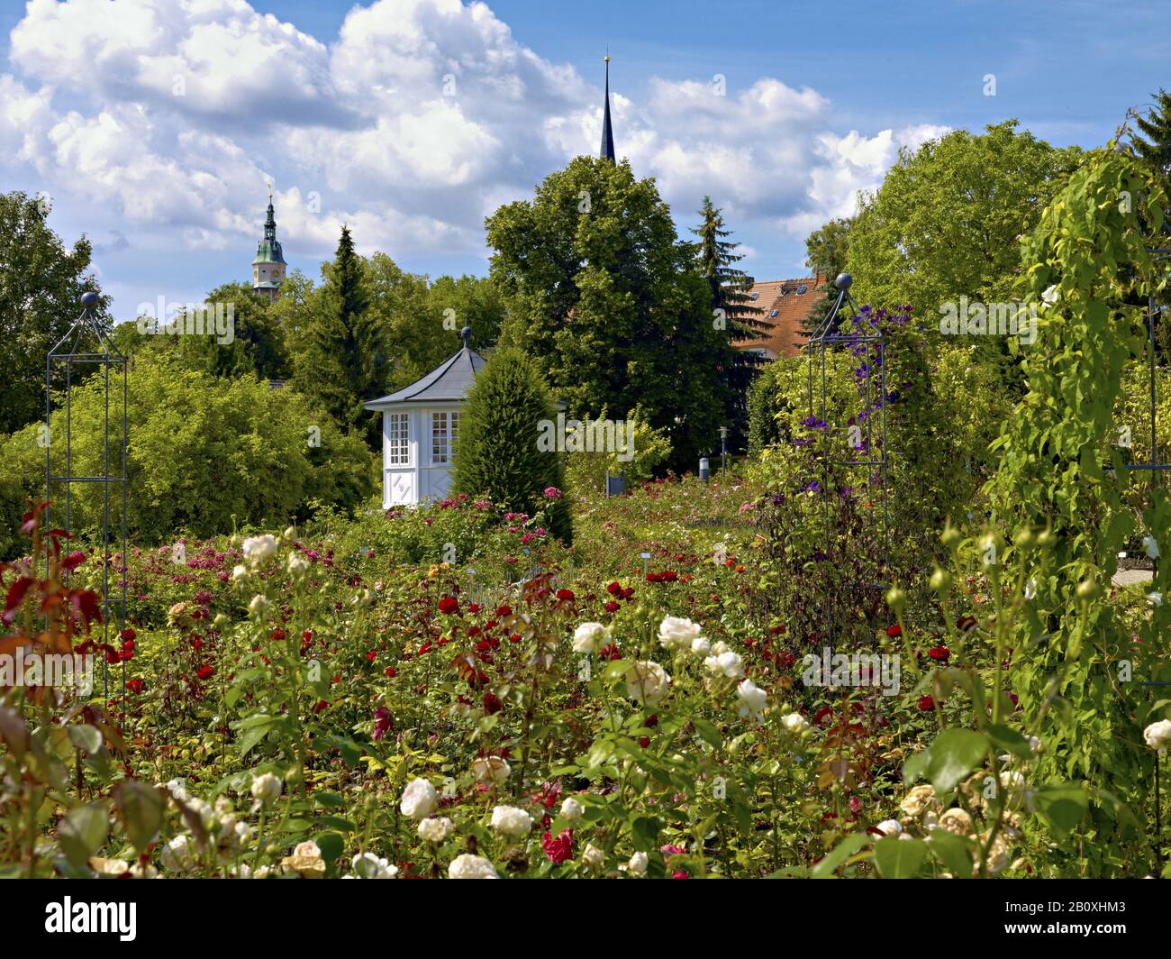 Rose garden bad langensalza thuringia hires stock photography and