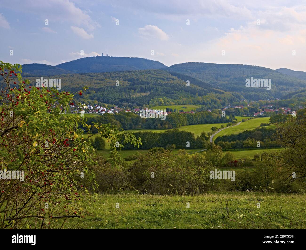 Inselsberg near Winterstein, Thuringia, Germany, Stock Photo
