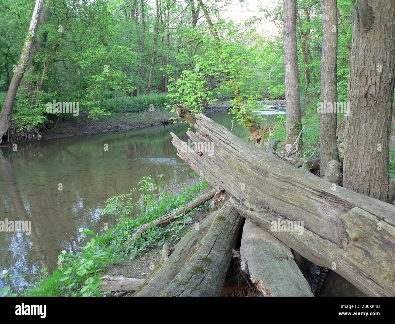 Blacklick Creek, Three Creeks Metropark, Columbus, Ohio Stock Photo Alamy