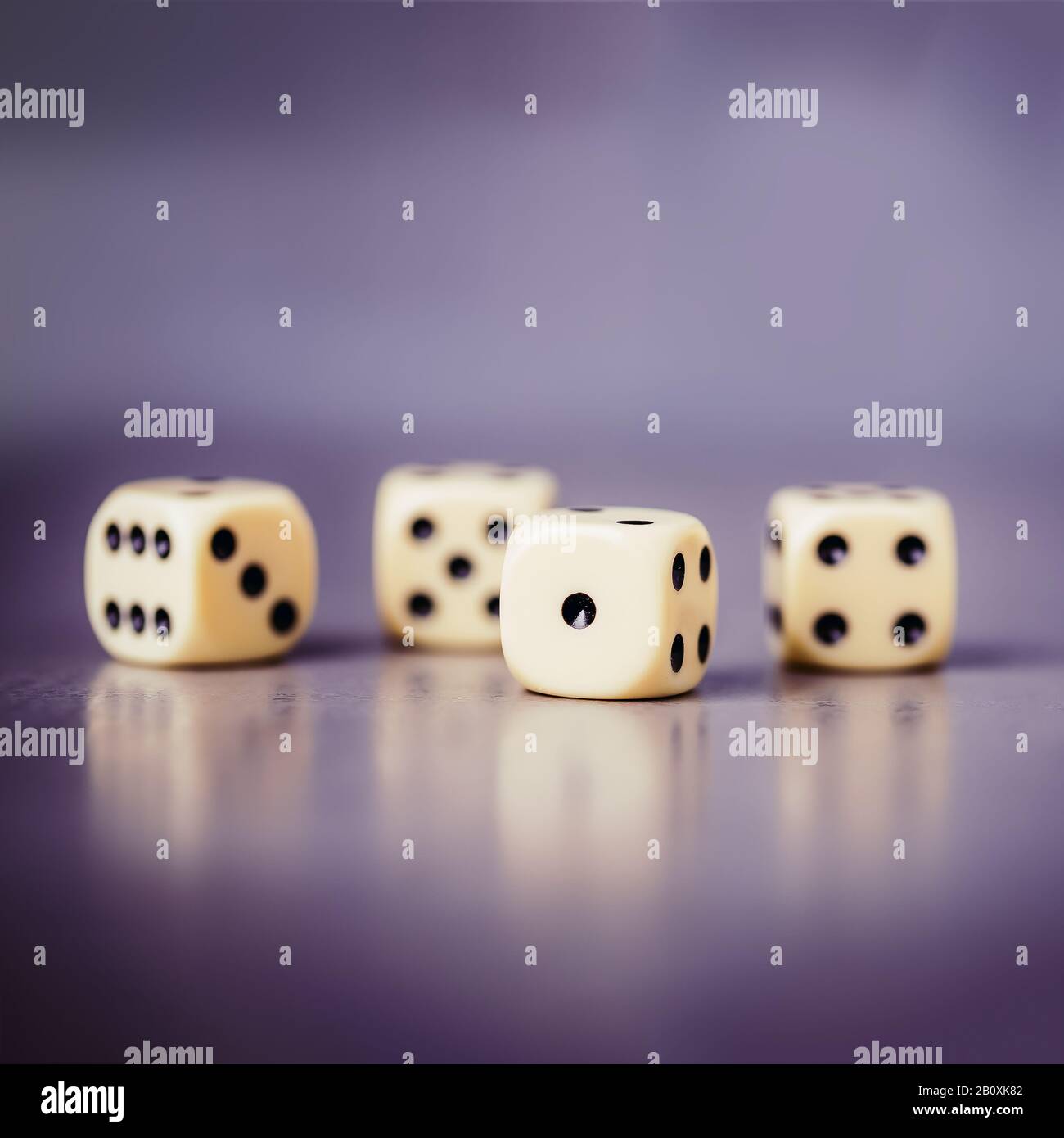 Four dices on a gray violet background, copy space Stock Photo