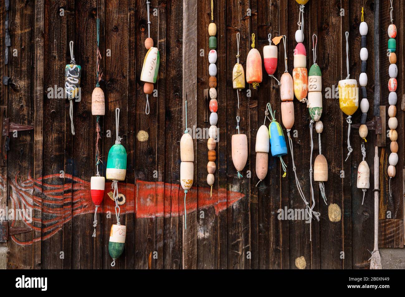 Fishing floats at Buck Bay Shellfish Farm on Orcas Island, San Juan Islands, Washington. Stock Photo