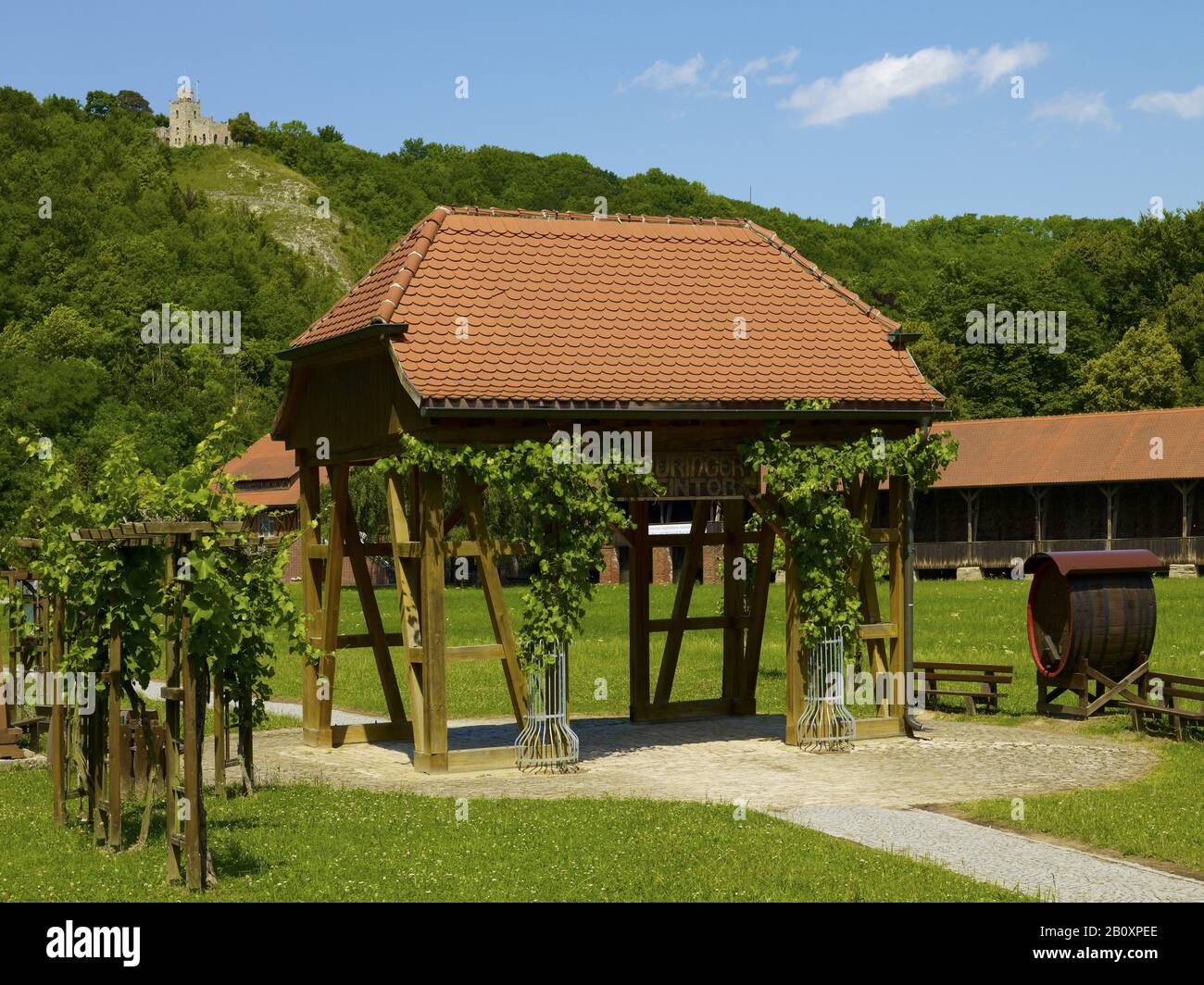 Thuringian wine gate with the Sonnenburg, Bad Sulza, Thuringia, Germany, Stock Photo