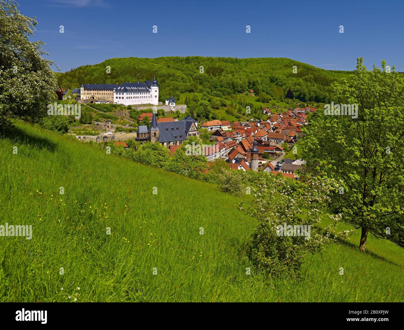 View of Stolberg with castle and church, Stolberg/Harz, Saxony-Anhalt, Germany, Stock Photo