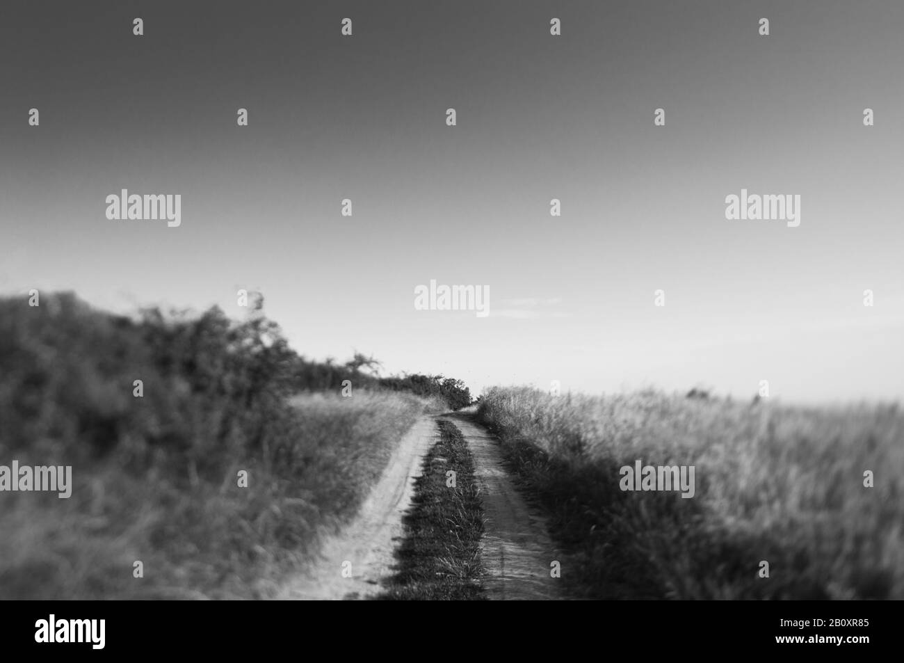 Dirt road view Black and White Stock Photos & Images - Alamy