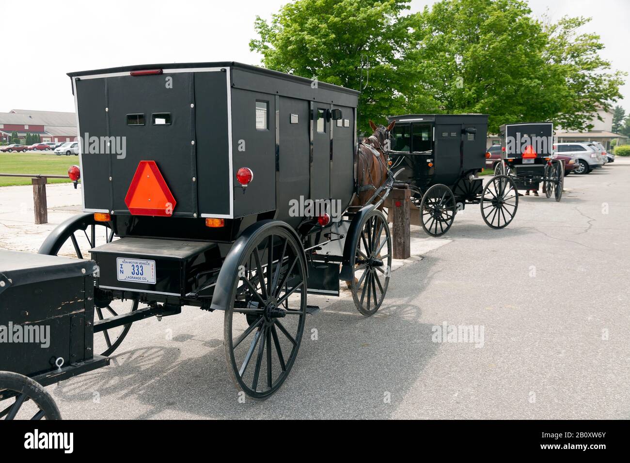 Amish buggies, Indiana, USA, by James D Coppinger/Dembinsky Photo Assoc Stock Photo