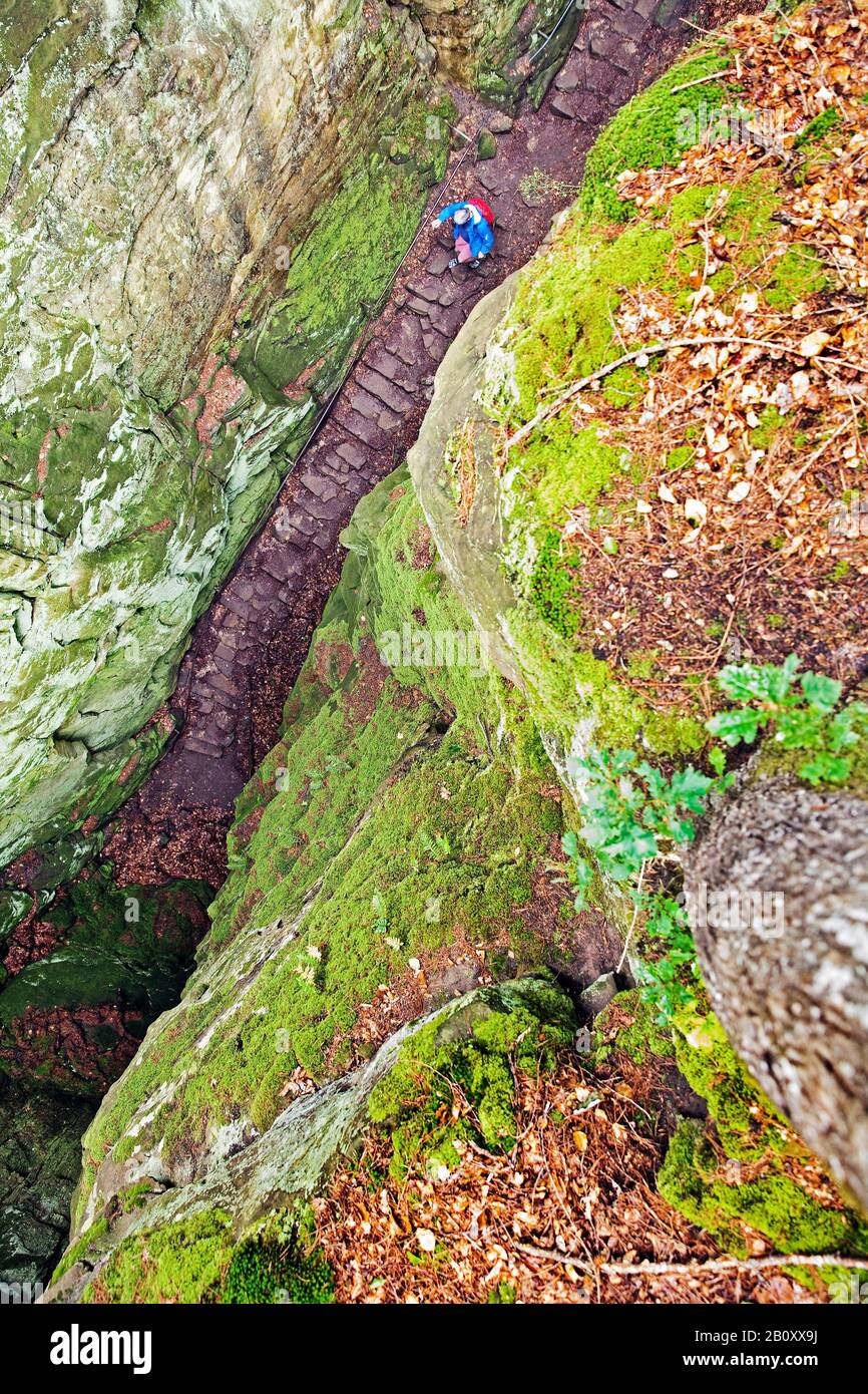 wanderer in the Devil's Gorge in the South Eifel Nature Park, Germany, Rhineland-Palatinate, Eifel, Irrel Stock Photo