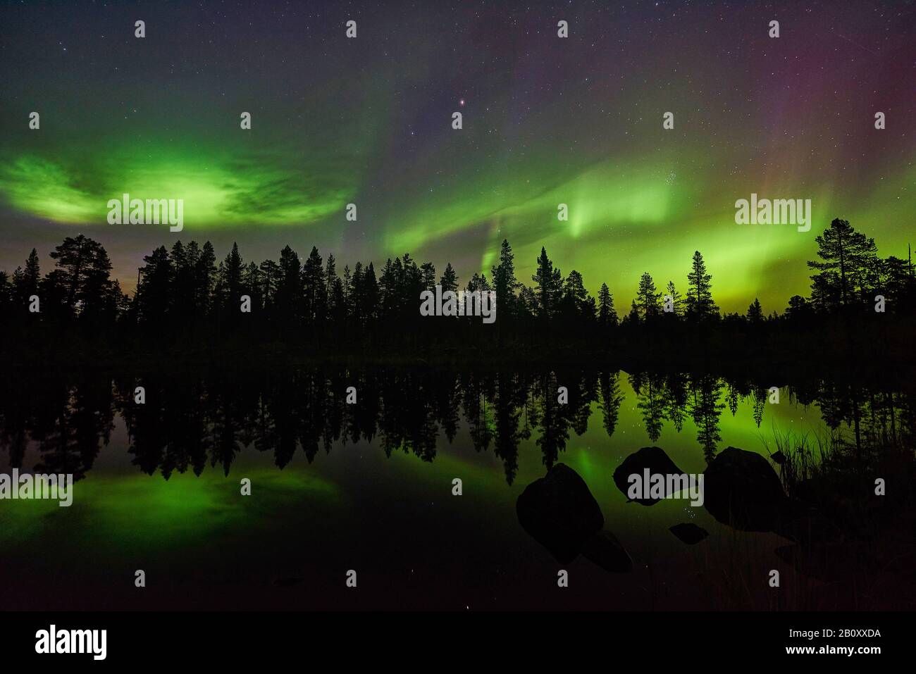 polar light mirroring on a lake, Sweden, Lapland, Norrbotten, Schwedisch Lappland Stock Photo