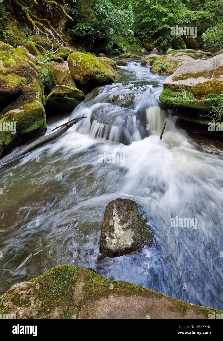 rapids called Irreler Wasserfaelle of the South Eifel Nature Park, Germany, Rhineland-Palatinate, Eifel, Irrel Stock Photo