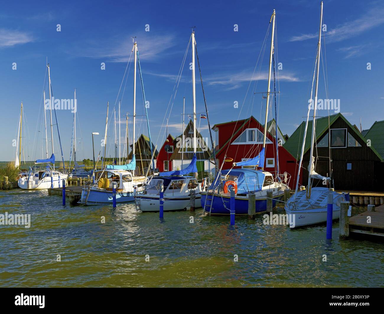 Sailing boats in the port of Althagen near Ahrenshoop, Fischland-Darss-Zingst, Mecklenburg-West Pomerania, Germany, Stock Photo
