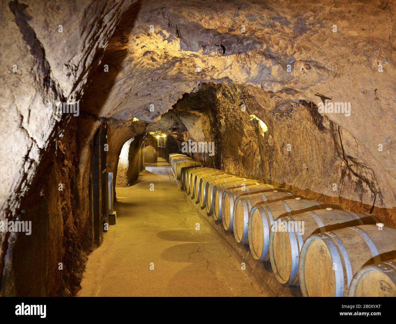Wine storage in the rock cellar winery Ksara, Bekaa plain, Lebanon, Stock Photo