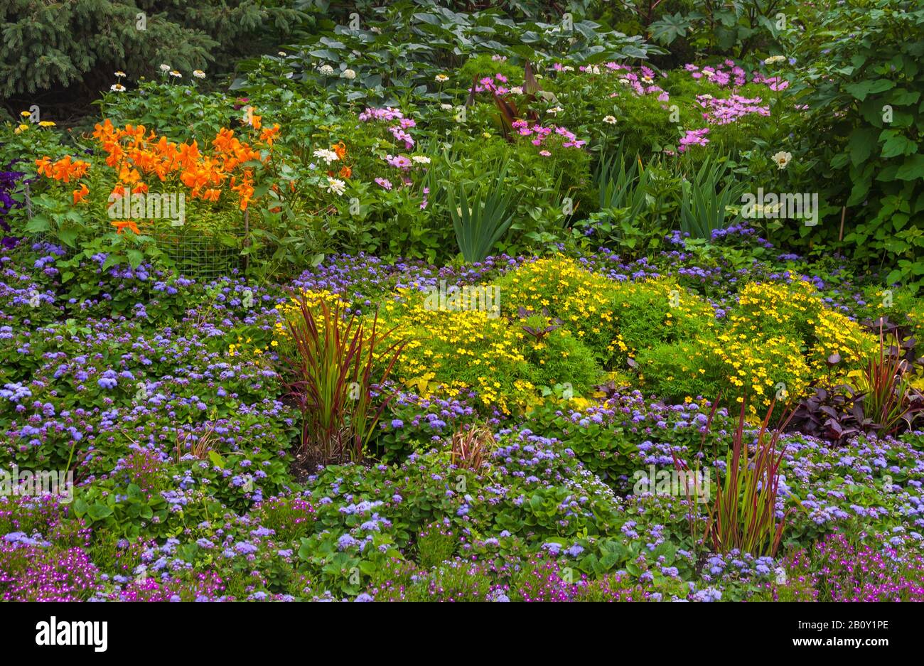 English flower garden beds hi-res stock photography and images - Alamy