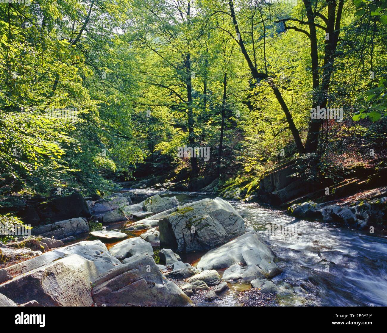 Schwarzatal with river Schwarza near Bad Blankenburg, Thuringia ...