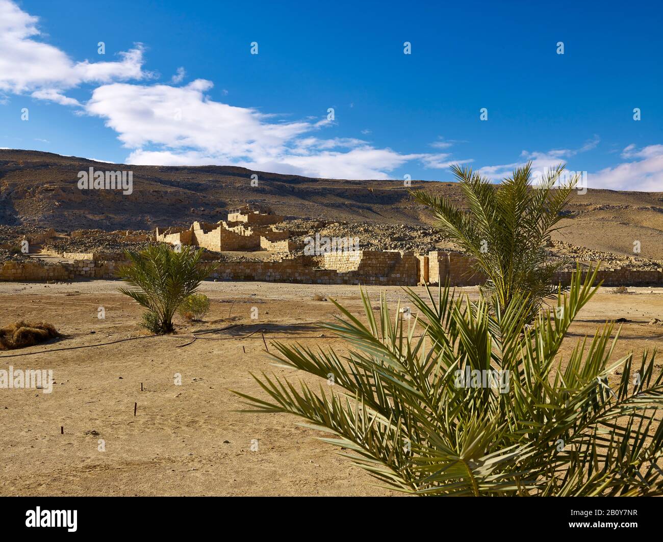 Nabataean settlement Mamshit on Frankincense Road, Negev Desert, Israel, Stock Photo