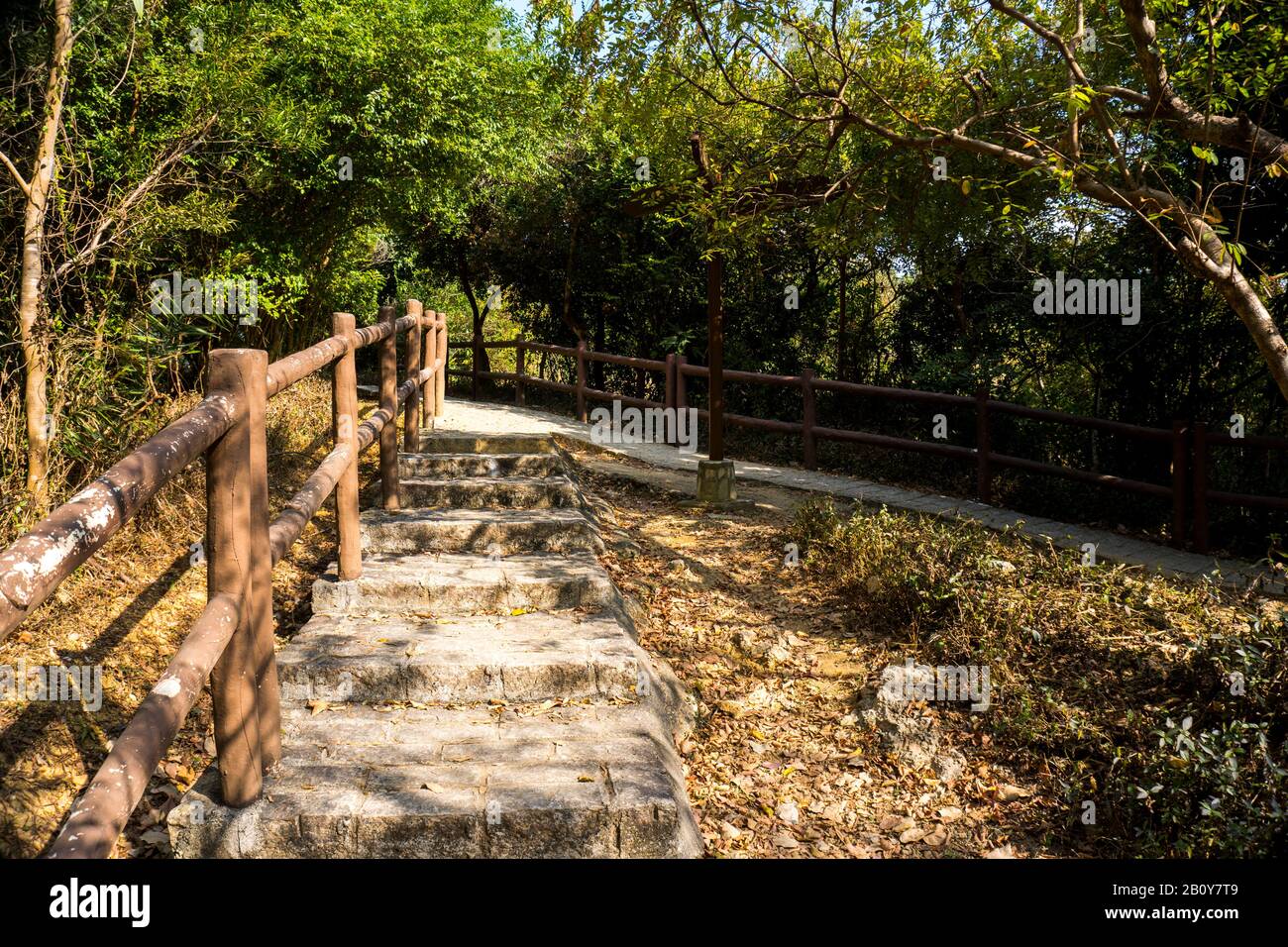 Stairway, cross road, trail, footpath, country road, alley, lane in Hong Kong forest as background, Tsing Yi Nature Trails Stock Photo