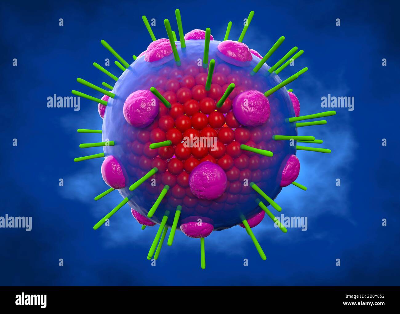 Myxovirus, illustration Stock Photo