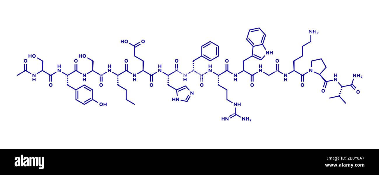 Afamelanotide or photoprotective drug molecule, illustration Stock Photo