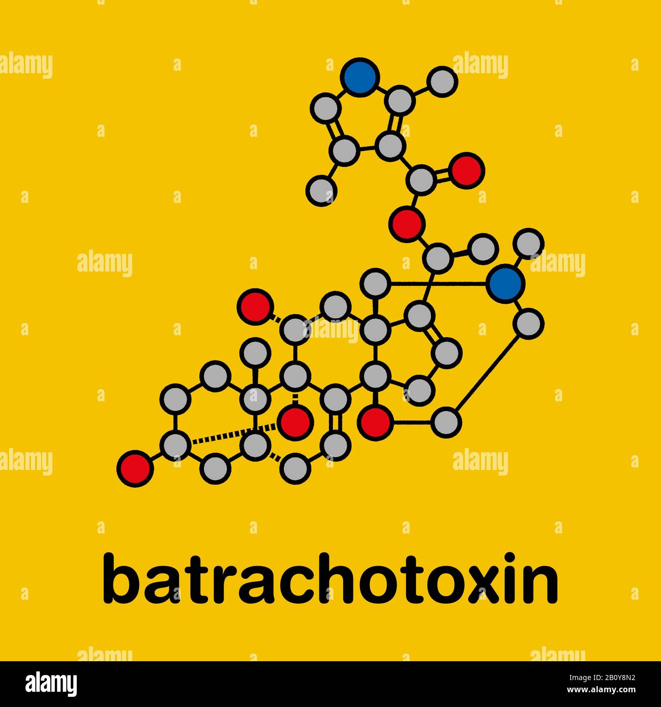 Batrachotoxin neurotoxin molecule, illustration Stock Photo