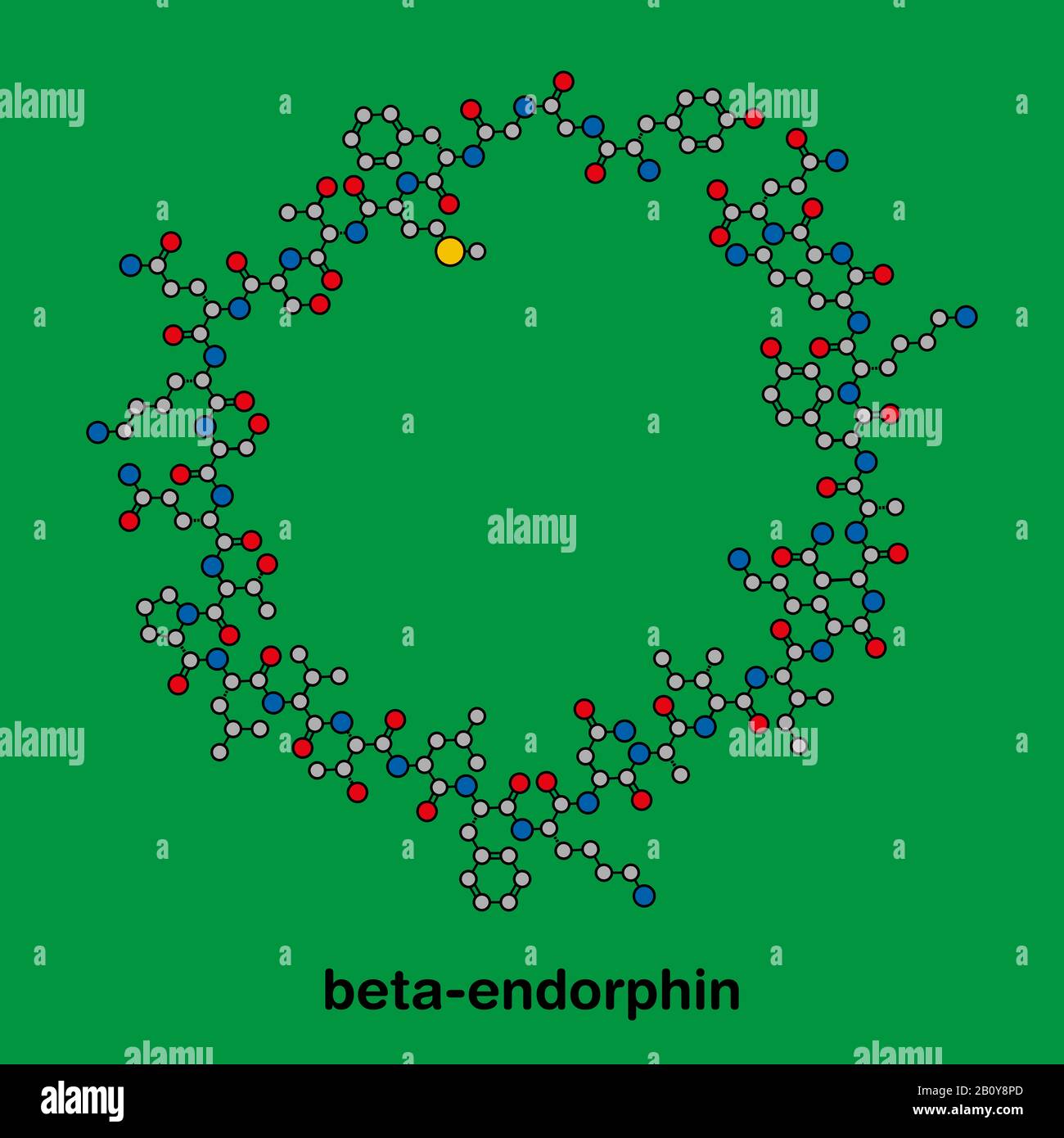 b endorphin