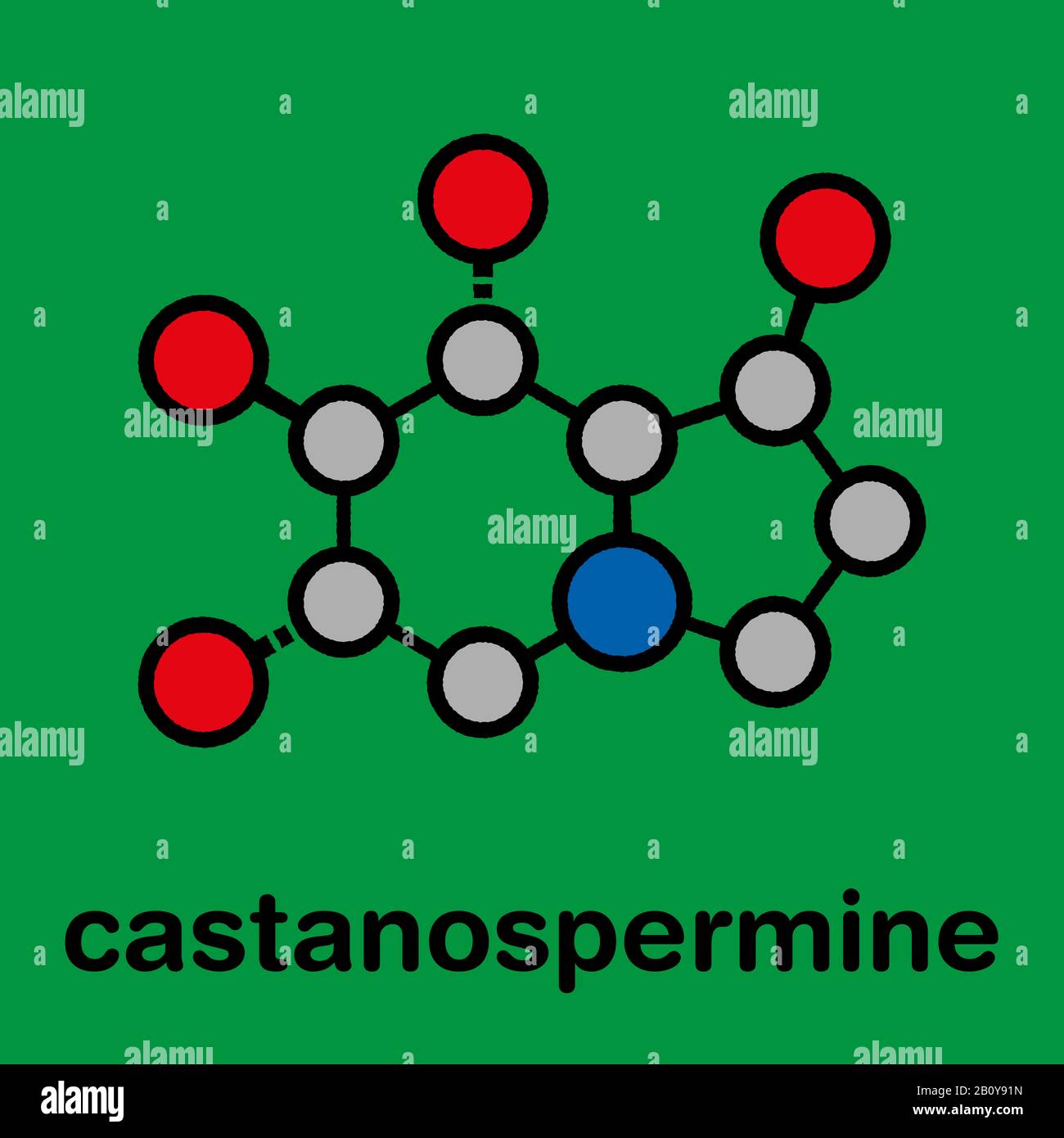 Castanospermine alkaloid molecule, illustration Stock Photo