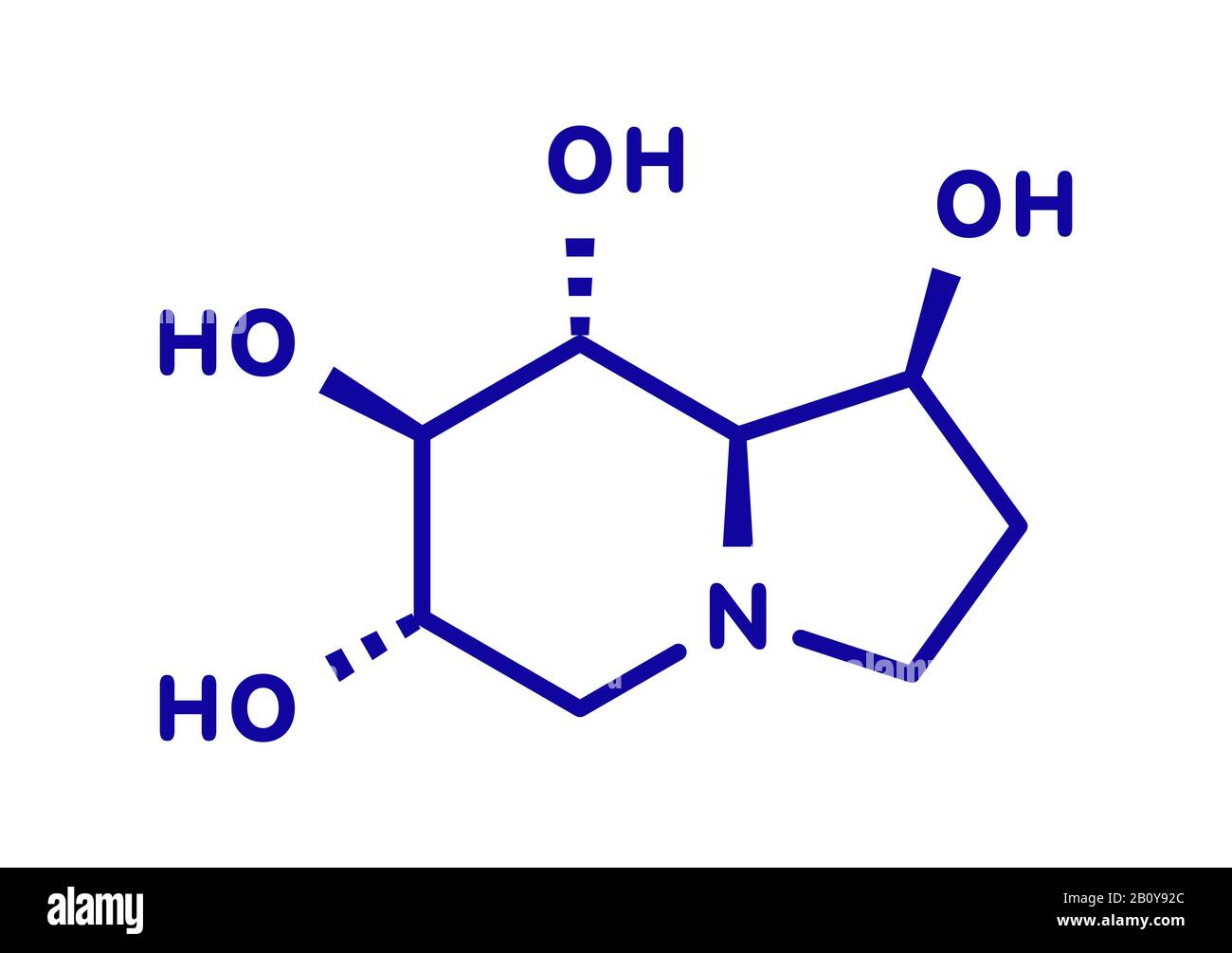 Castanospermine alkaloid molecule, illustration Stock Photo