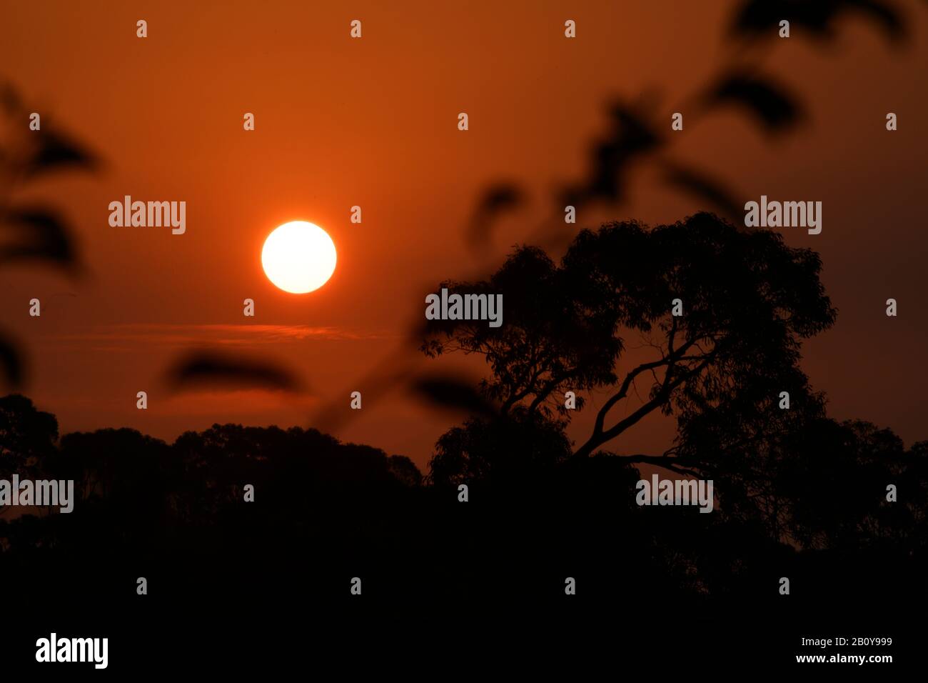 The red sunset of the fire season Stock Photo - Alamy