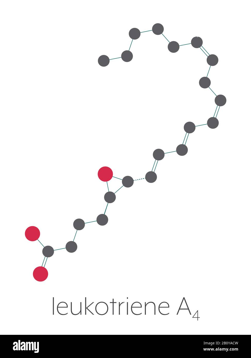 Leukotriene A4 molecule, illustration Stock Photo Alamy