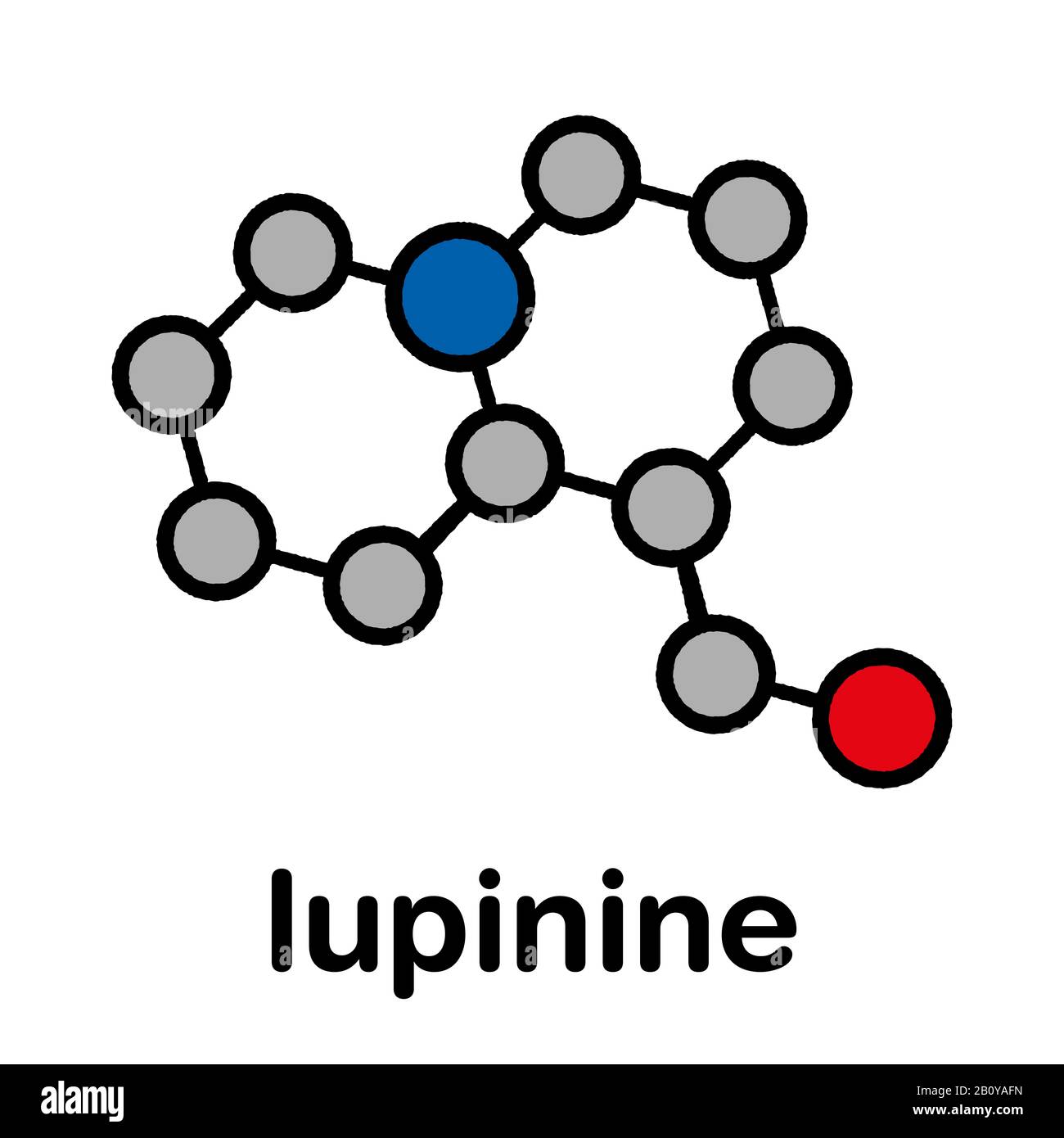 Lupinine lupin alkaloid molecule, illustration Stock Photo - Alamy