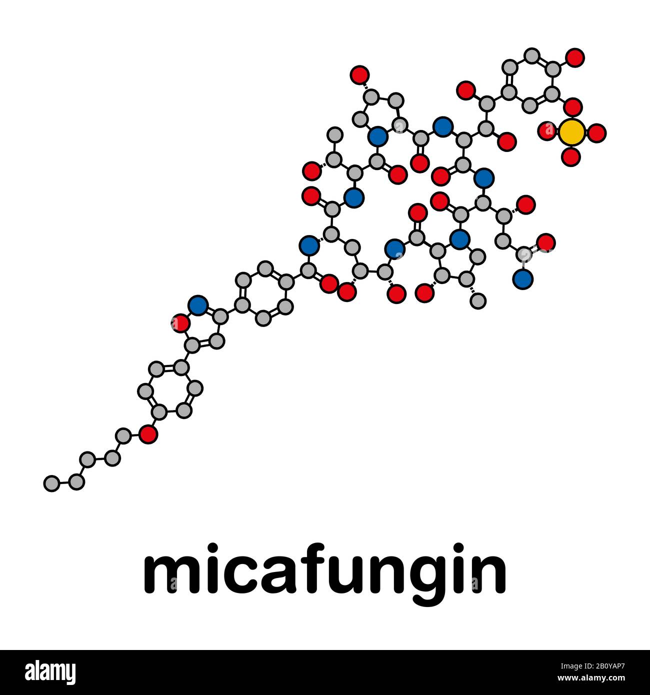 Micafungin antifungal drug molecule, illustration Stock Photo Alamy