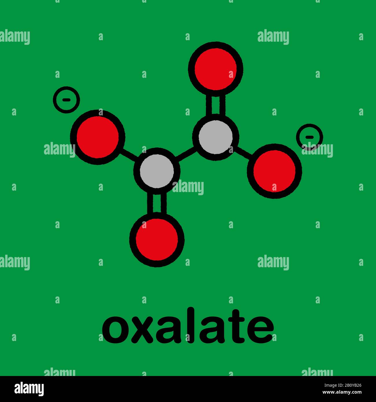 Oxalate anion chemical structure, illustration Stock Photo