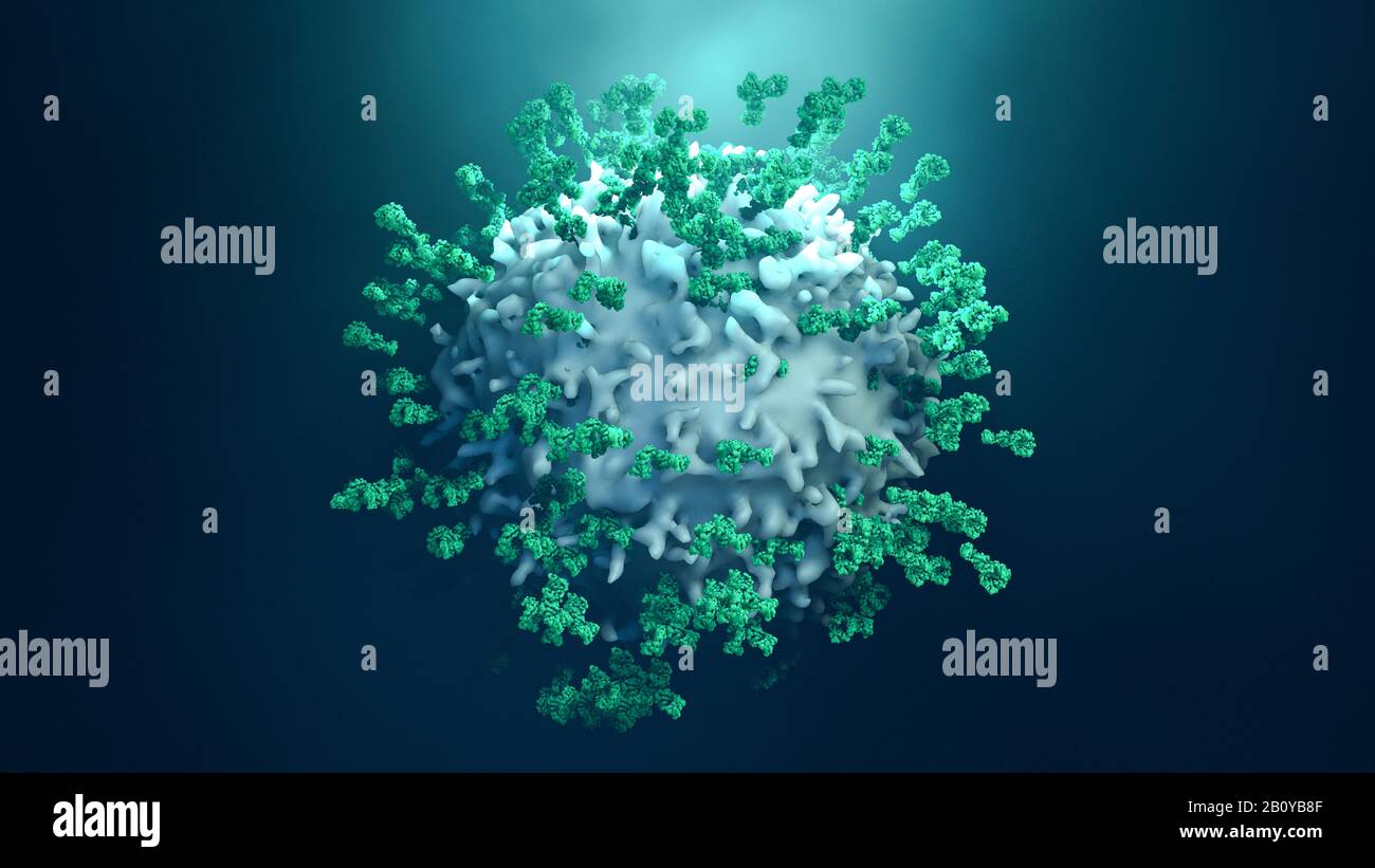 Antibodies attacking cancer cell, illustration Stock Photo - Alamy