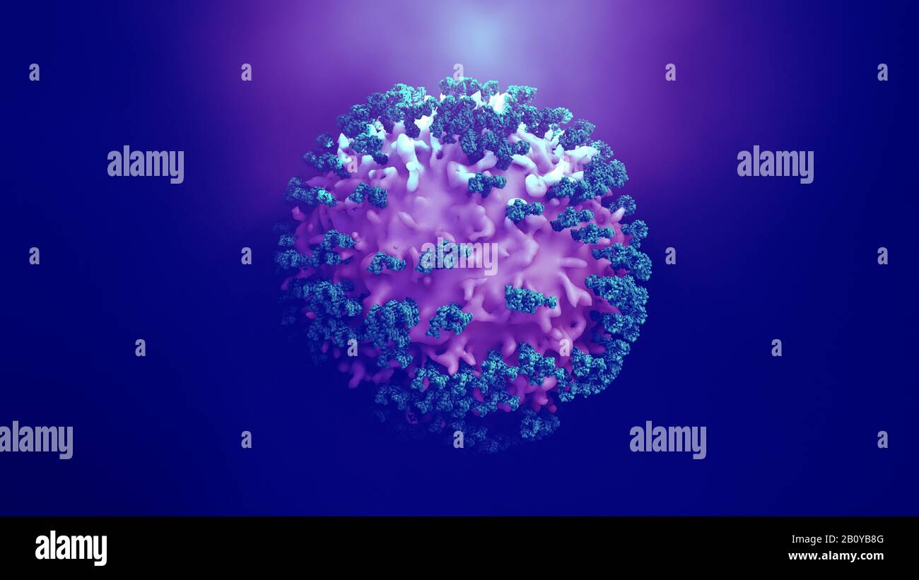 Antibodies attacking cancer cell, illustration Stock Photo - Alamy